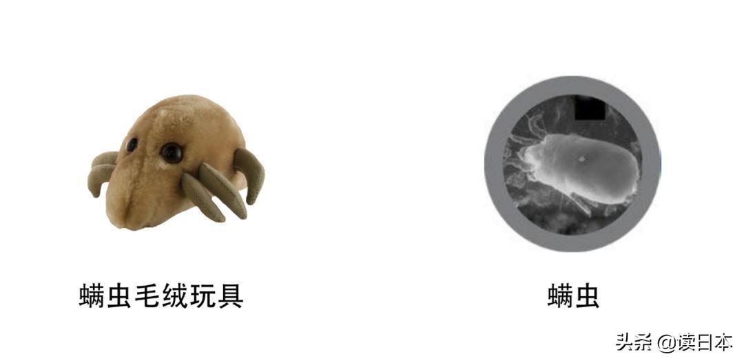 “*体器人官**”挂件或成为日本最新潮流？网友：我的钱包又要哭了