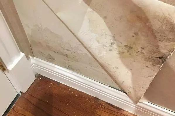 发霉墙面翻新步骤以及成本,解决墙面发霉的最好方法