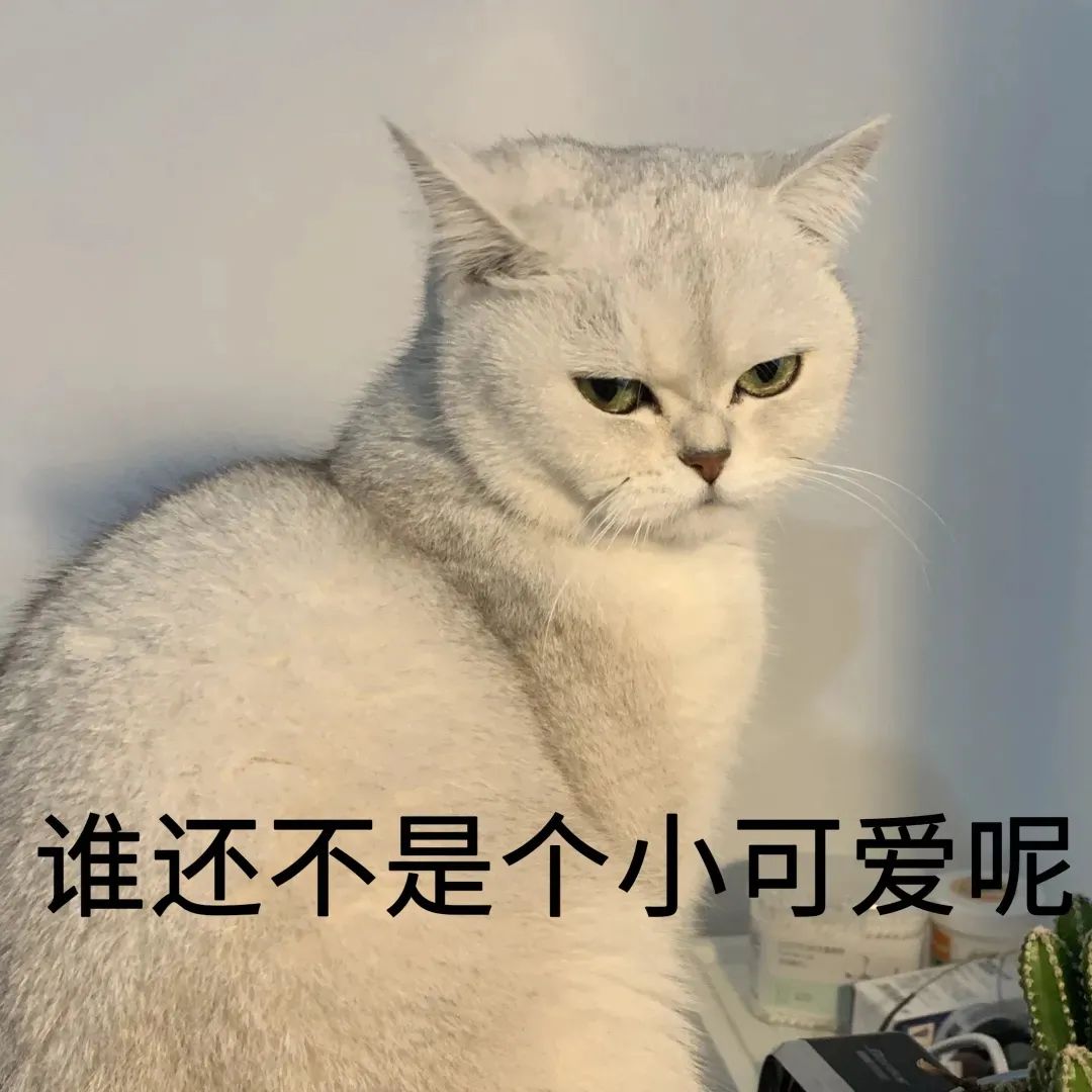 脸腮部又胖了,脸越来越胖脖子越来越粗