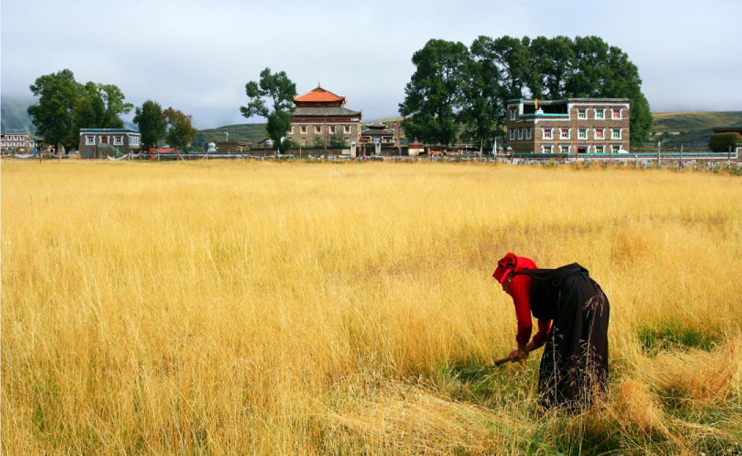 什么时候去稻城最好,什么时候去稻城