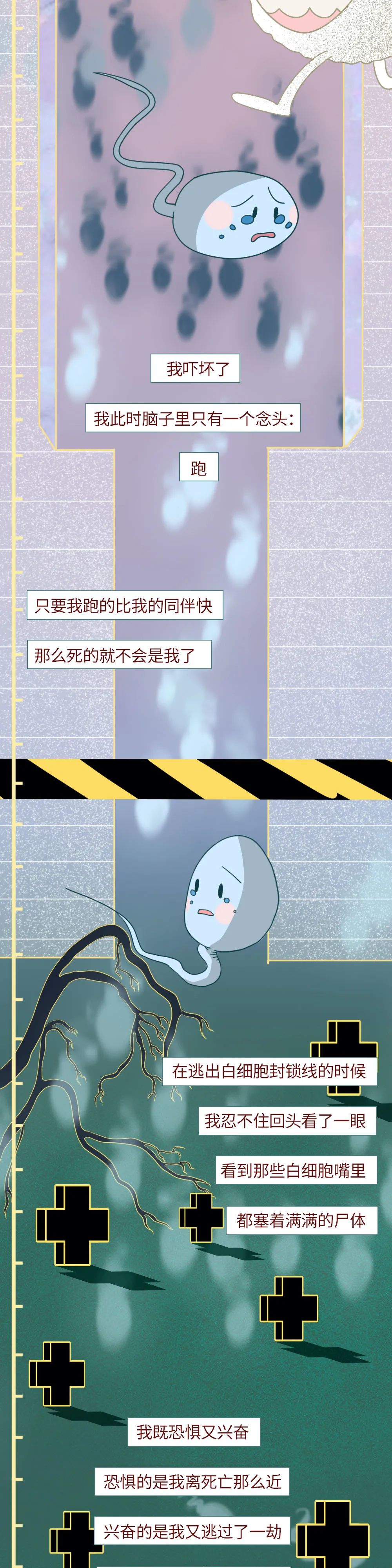 科普知识精子液化后的态势,男性精子在体内存活时间