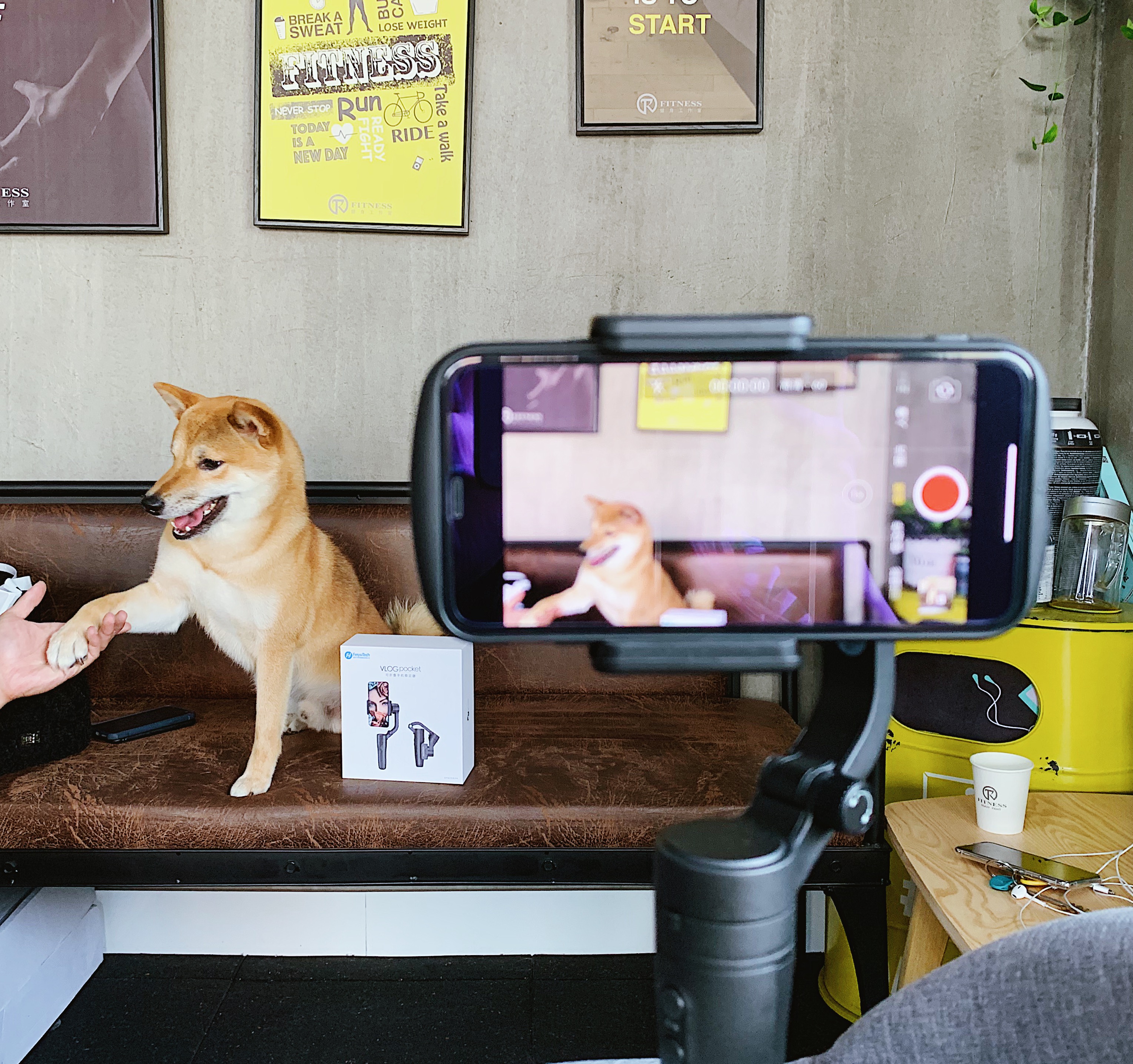 如何判断一台手机稳定器值不值得买？新手入门短视频必看攻略