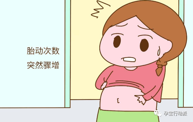 孕期周刊是什么软件,孕期知识百科十五周