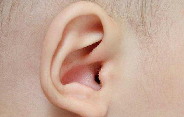 耳仓的危害,耳仓有什么危害