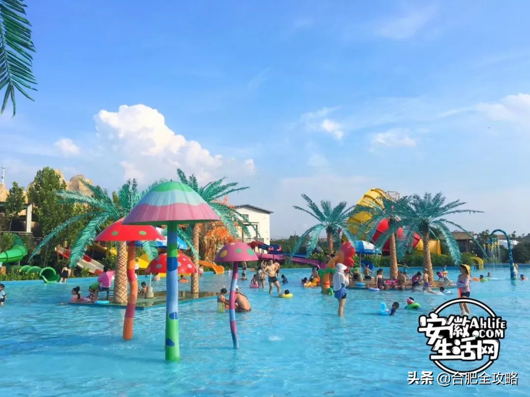 合肥是一座温暖的城市,合肥是一个有灵魂的城市