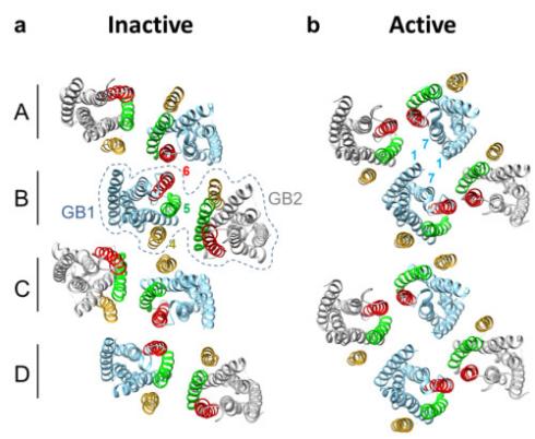 厉害了我国的科技,华科重大科研成就