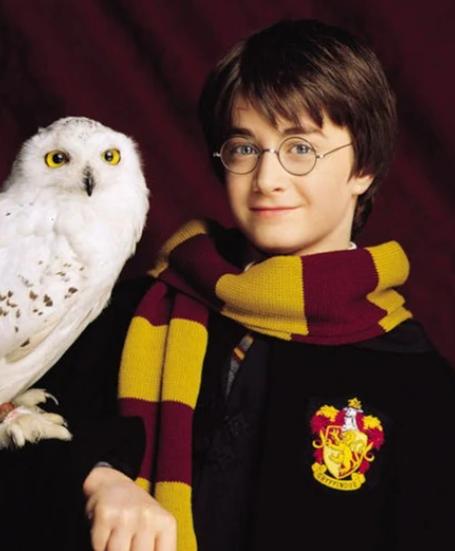 郭敬明镜头下的郭采洁,郭敬明被郭采洁感动到哭