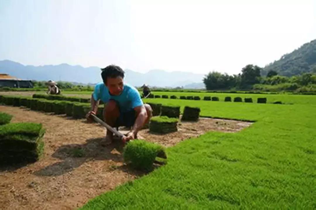 小棕瓶美妆测评,小黑瓶小红瓶小棕瓶哪个好用