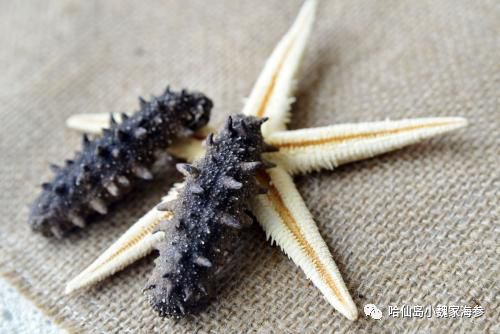 海参怎样吃才能发挥其最大化作用,海参的皮有营养还是筋有营养