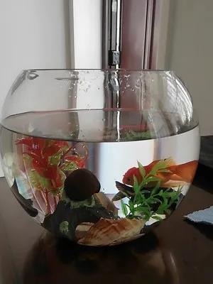 分享创富最佳方法,分享快速致富好项目