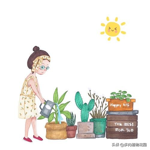 出差旅行再也不用担心东西太多,出差游玩再也不担心花花草草了