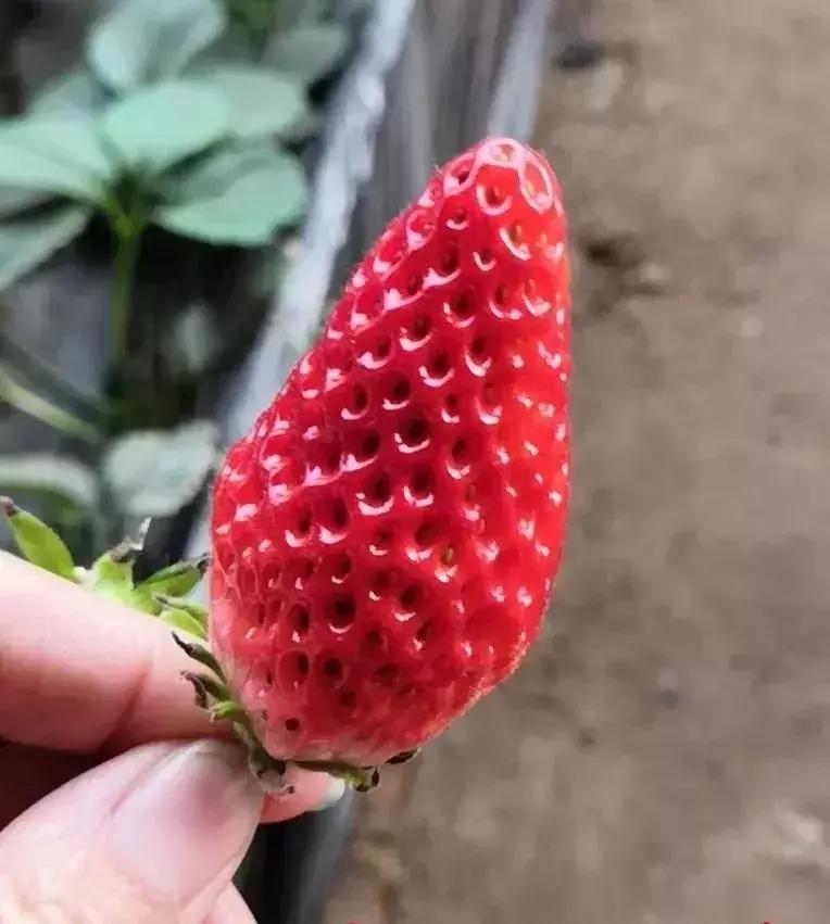 菏泽旅游必去十大景点推荐一下,菏泽本地一日游最佳景点一览表