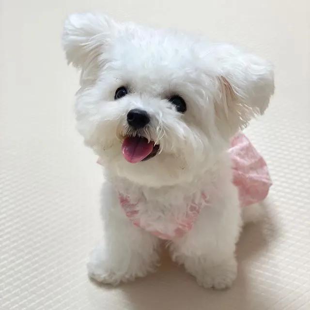 拿什么方式减压,有什么最好的减压方法