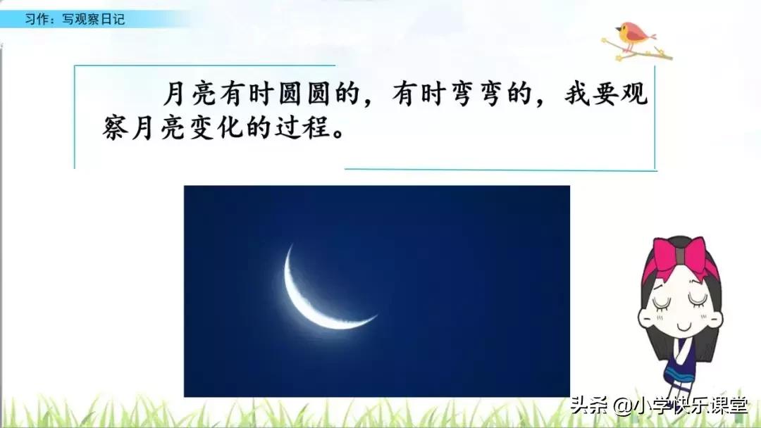 四年级语文第三单元视察日记作文,四年级视察日记400字优秀作文植物