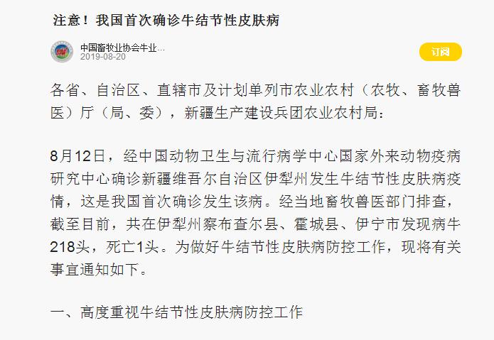养牛场牛有癣怎么办,育肥牛身上牛皮癣的最佳治疗方法