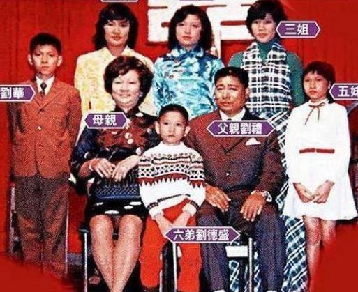 刘德华被谁抚养长大的,刘德华为什么帮姐姐住贫民窟