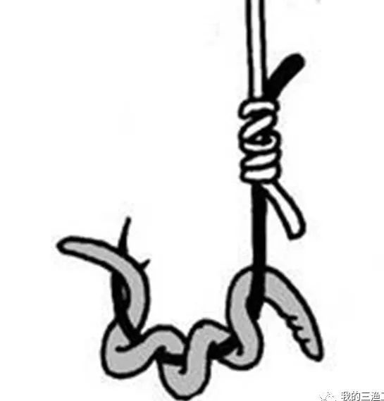 钓黄辣丁怎么挂蚯蚓,串钩挂蚯蚓钓鱼技巧