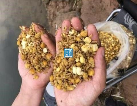 野生大湖钓鱼视频大全,深山老林水库野钓