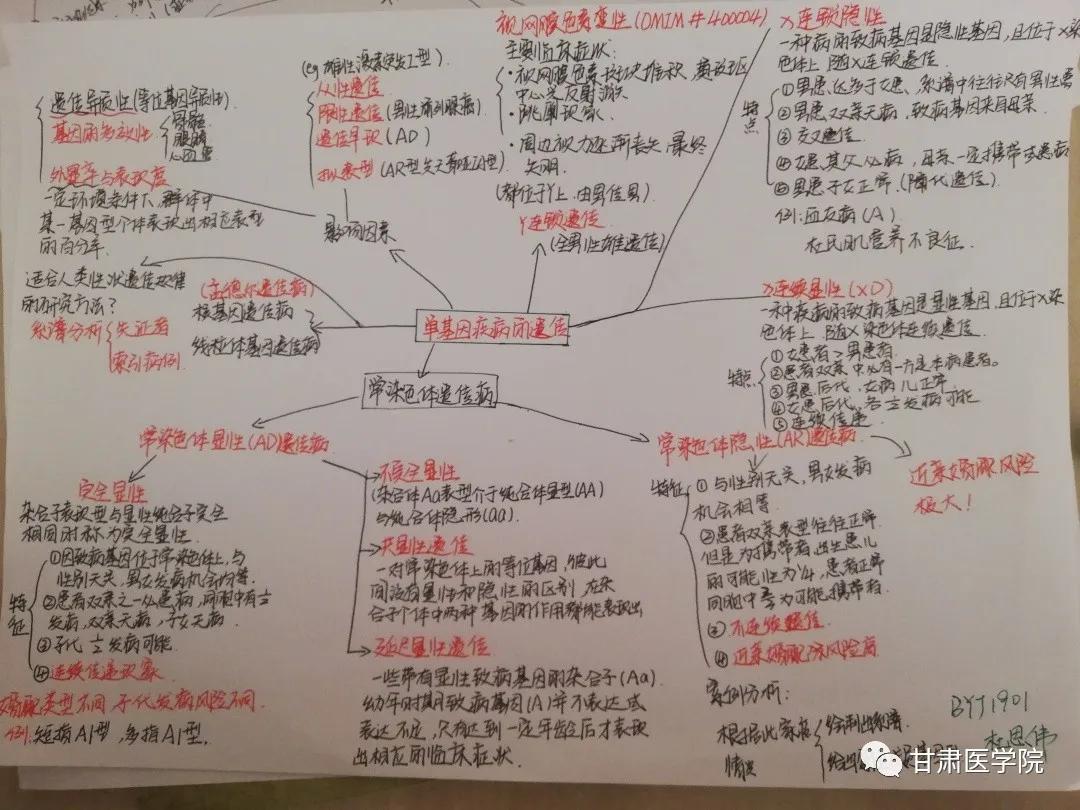 甘中医最新消息,甘中医博士生导师
