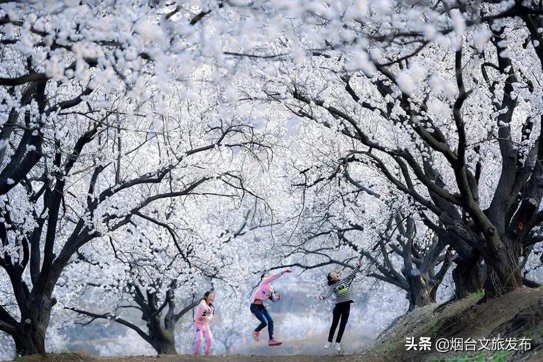 致敬奋斗者劳动节的主题,致敬劳动者活动总结