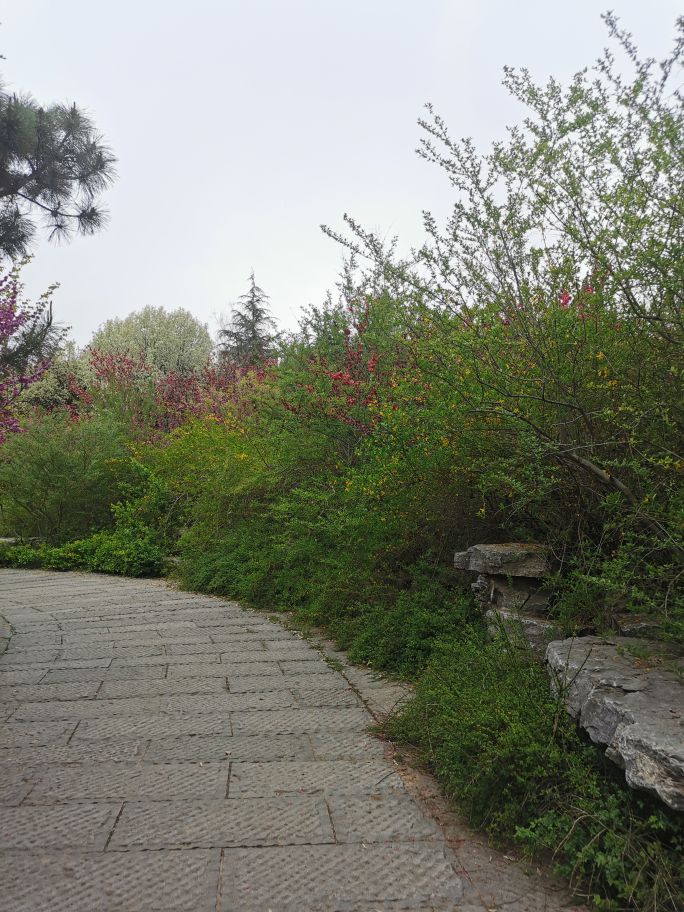 济南地铁出行哪里好玩,济南地铁2号线宜家是哪一站