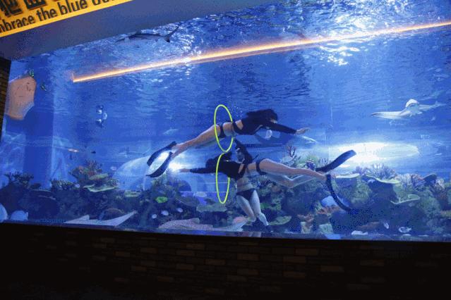 成都海洋馆浩海立方奇幻之旅,成都浩海海洋立方馆和海洋世界