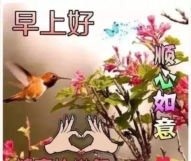 心态好的早安短句,简单的心态就是快乐