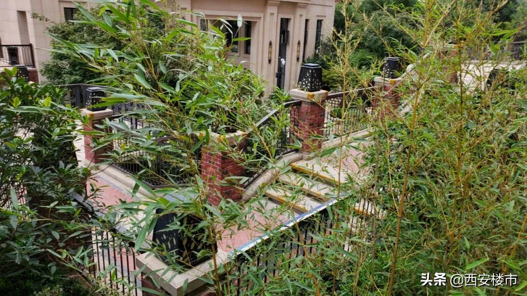 南湖艺境一期,南湖艺境大事