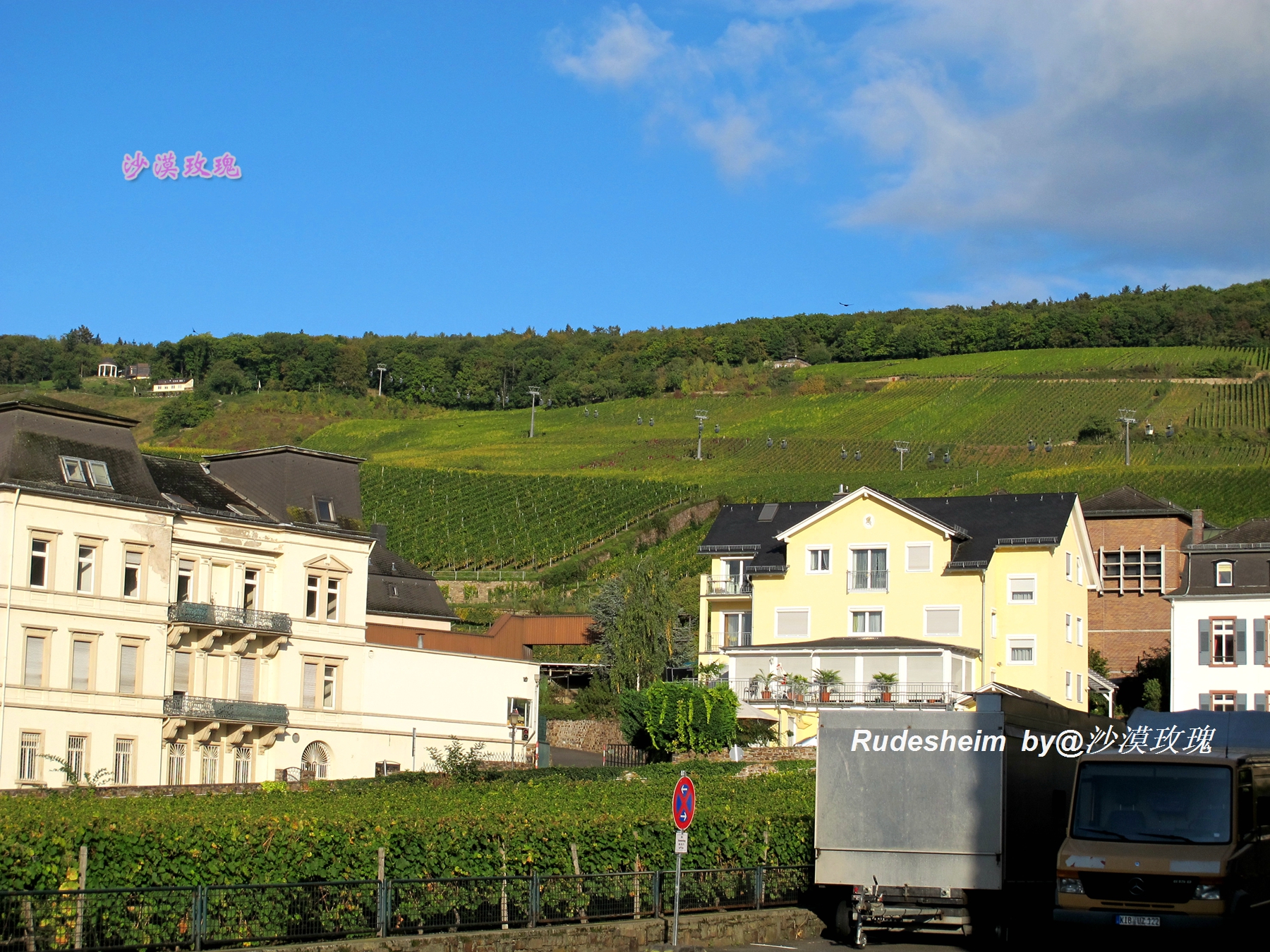 莱茵河葡萄酒小镇,莱茵河畔的葡萄小镇