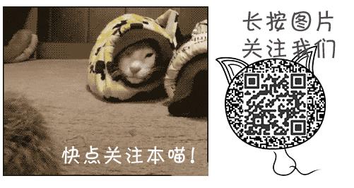 铲屎官把猫咪惹毛了,铲屎官得猫癣