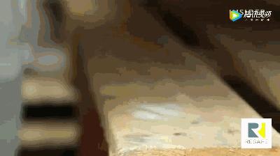 手废了又怎么样,手废了是什么意思