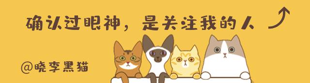 日本锦鲤大叔中奖6个亿，3年挥霍一空，撸猫找回心灵平静