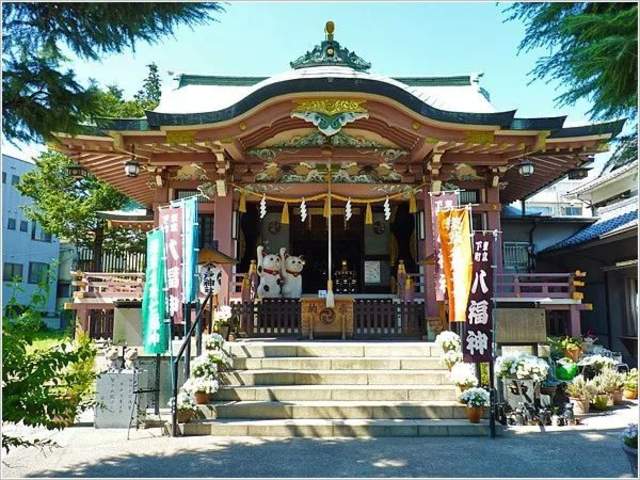 日本猫岛撸猫必备短片,日本东京免费撸猫的地方