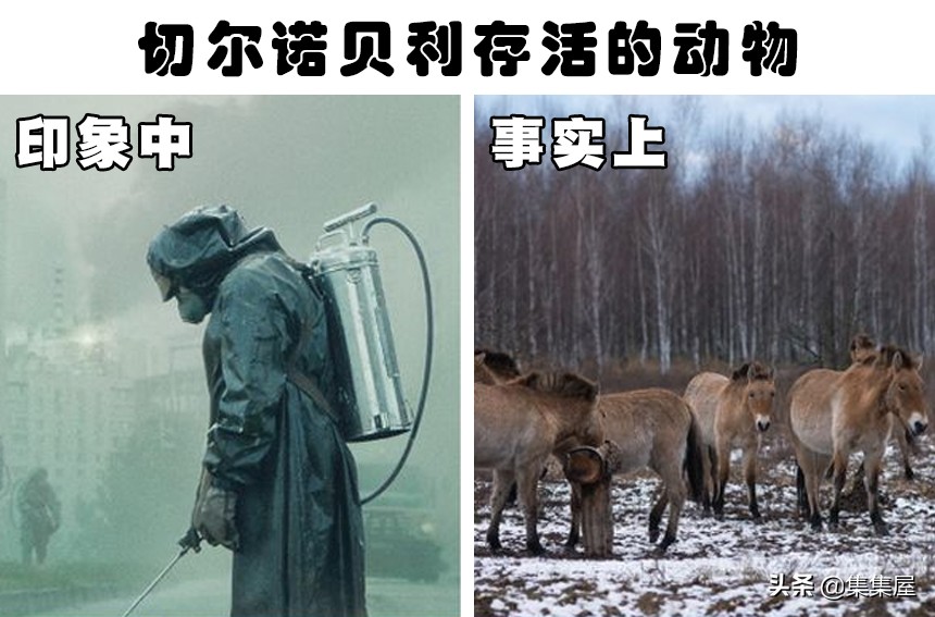 天空上下起蜘蛛雨,天空下蜘蛛雨视频