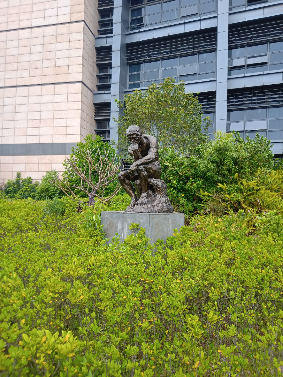 福州大学就像一座大公园，风景美到爆！最美的世界一流学科院校