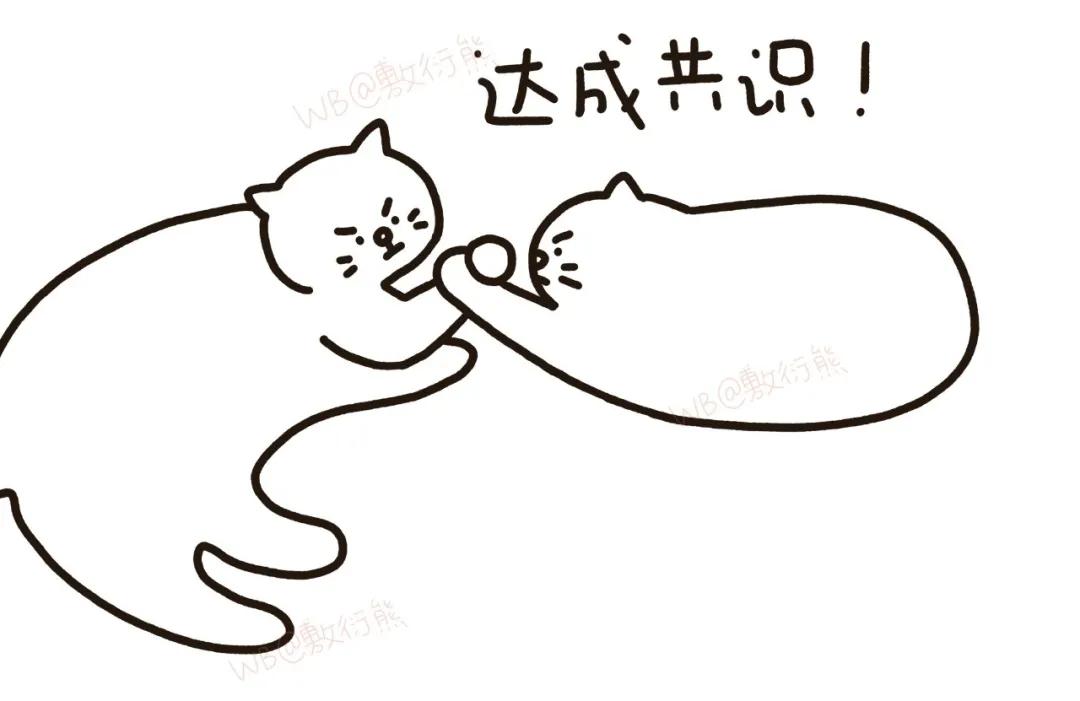 可怜的猫咪是怎么被整惨,这只猫被网友整成什么样了