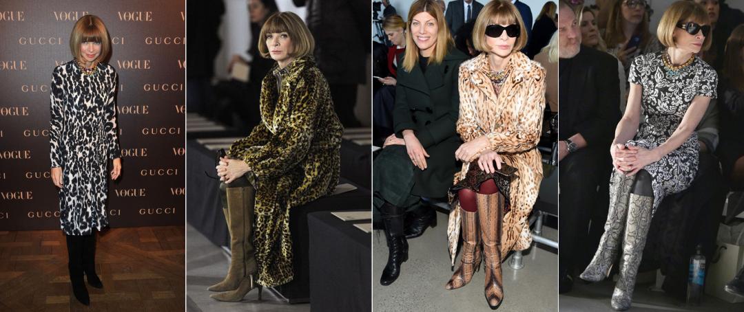 dior璞圭汗鐨崏,dior璞圭汗濂抽瀷