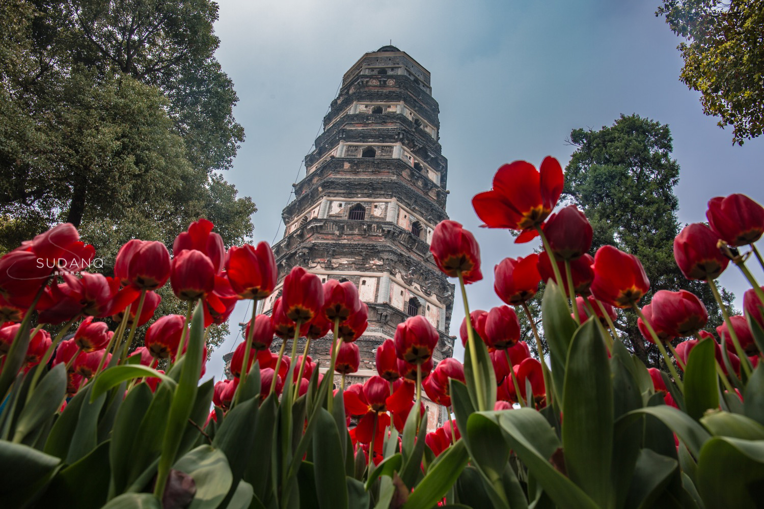 带你游美如仙境的苏州园林,人间最美苏州园林