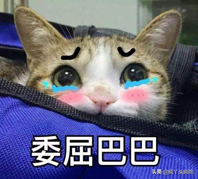 合肥詹记桃酥王好吃吗,合肥詹记宫廷桃酥最好吃的是什么