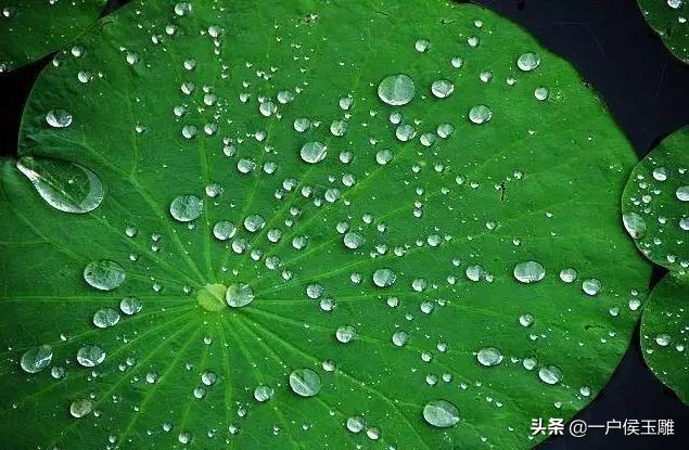 青玉玩久了会怎样,你不知道的青玉
