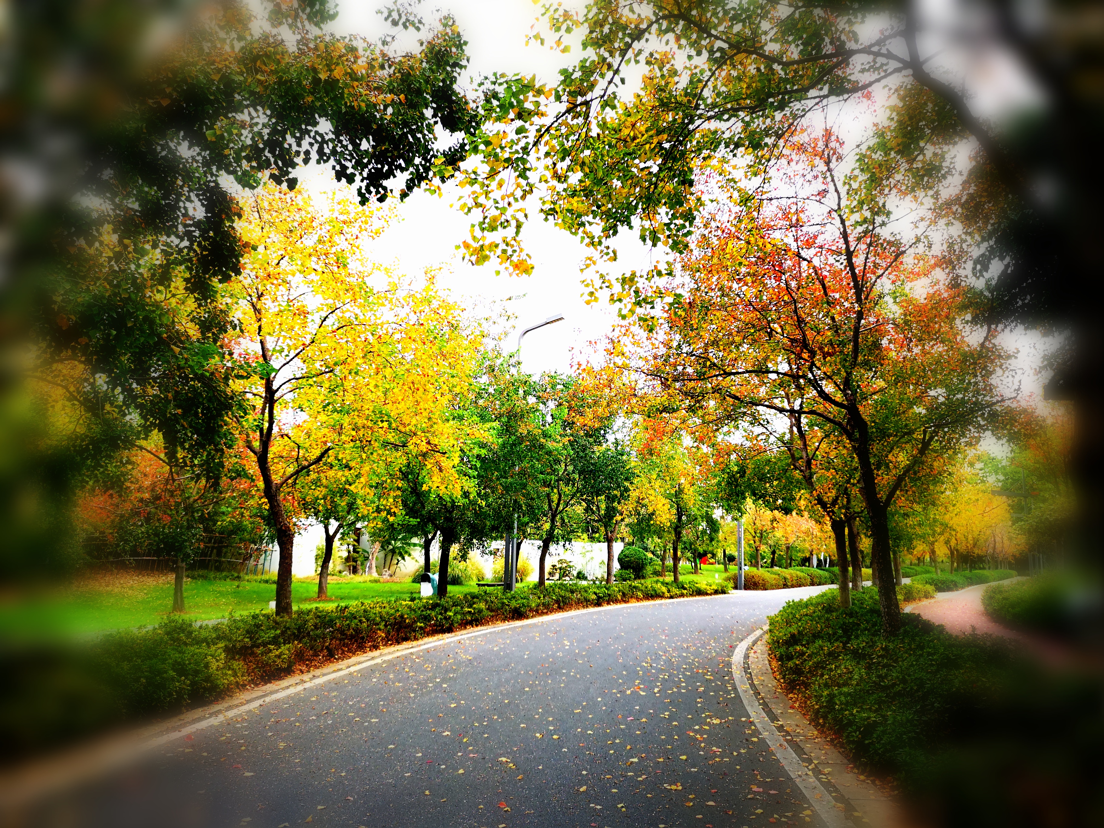 沉睡了千年的历史,沉睡的历史神秘的墓葬