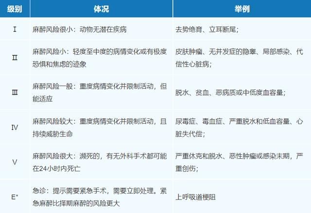 宠物麻醉的最佳方法,宠物吸入式麻醉用的是什么