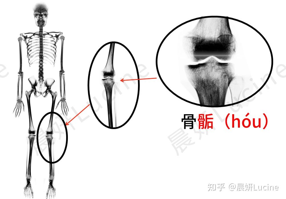 大屁股粗腿并且矮穿搭男生,很矮的男生怎么穿搭