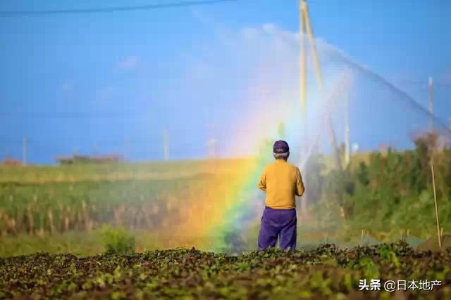 冲绳值得一去吗,去冲绳自由行攻略推荐