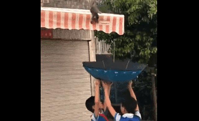 男子在宜家脱鞋试睡,宜家蹭睡为什么不能驱赶