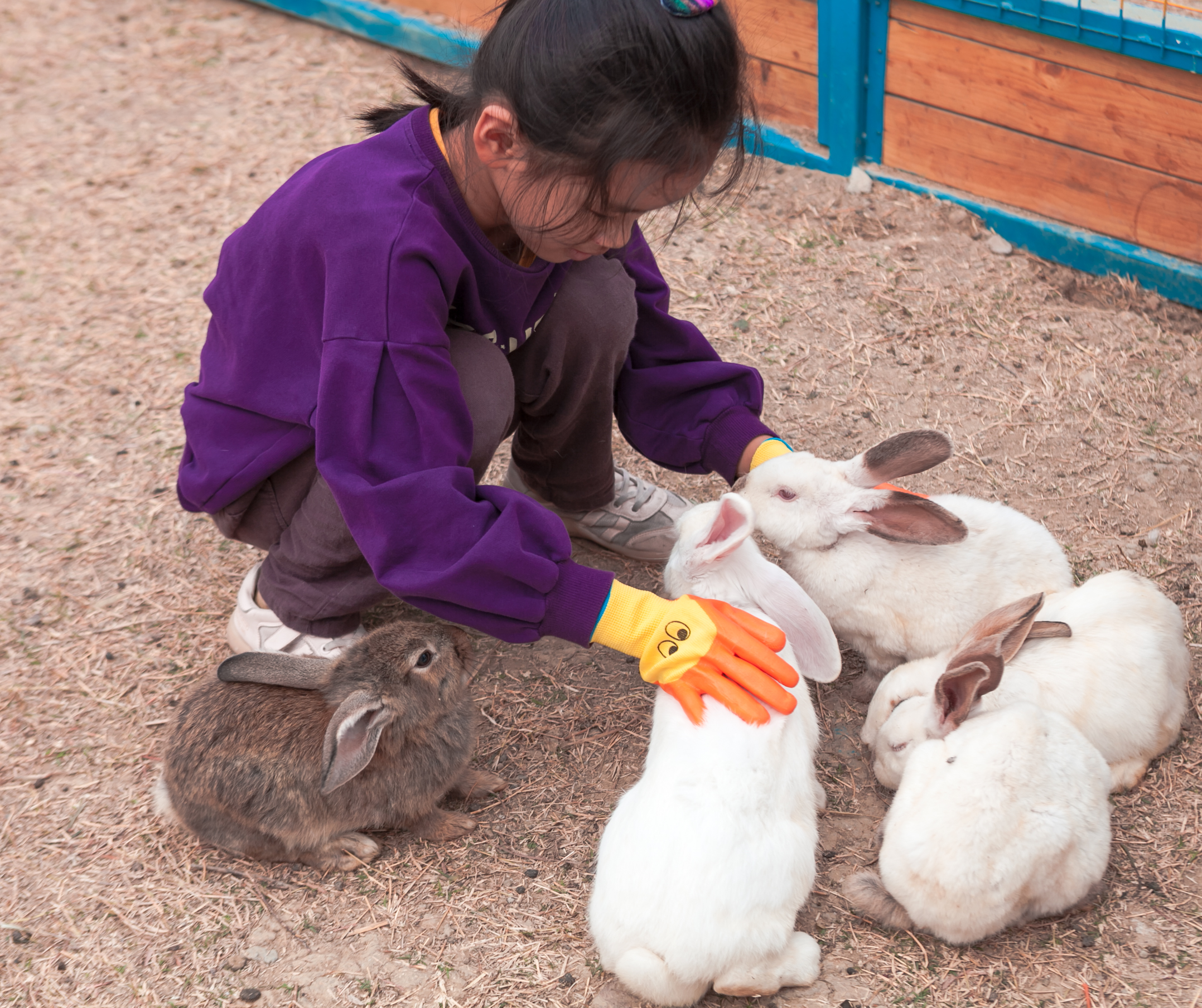 秋天的无锡美的醉人，去无锡旅行，这些好地方不要错过了