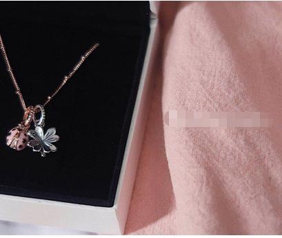 锁骨项链轻奢小众高级感搭配秋装,最新款气质百搭锁骨项链