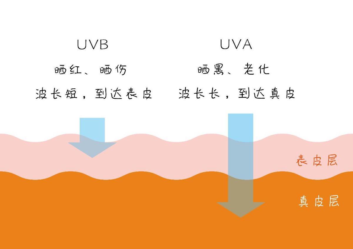 光老化与自然老化的区别,人的衰老有多少是来自自然老化