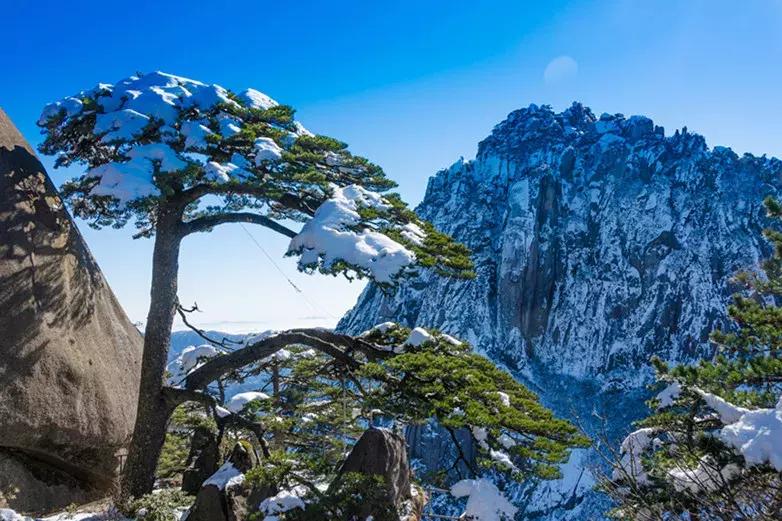 “爱我黄山感恩有你——黄山人免费游黄山”再度来袭！