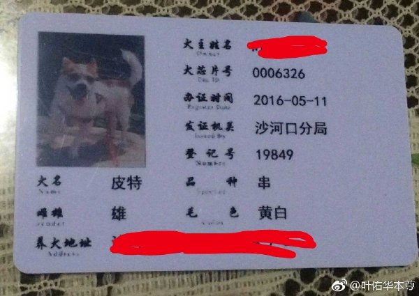 社区办理狗证需要什么手续,办狗证工作好吗